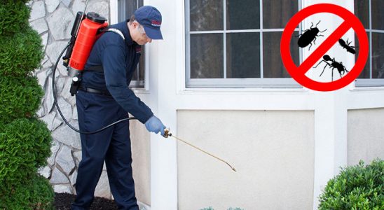 Akseki Böcek ve Haşere İlaçlama böcek ilaçlama ve haşere kontrolü — ilaclama-tr.com